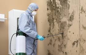 Mold Remediation